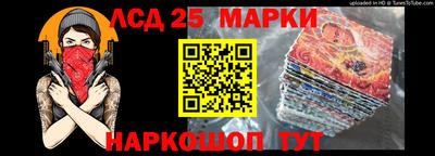 мдпв Камышлов