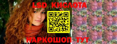 мдпв Камышлов