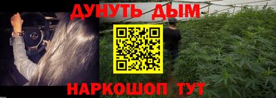 мдпв Камышлов