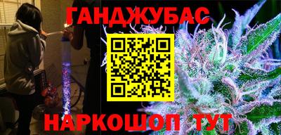 мдпв Камышлов