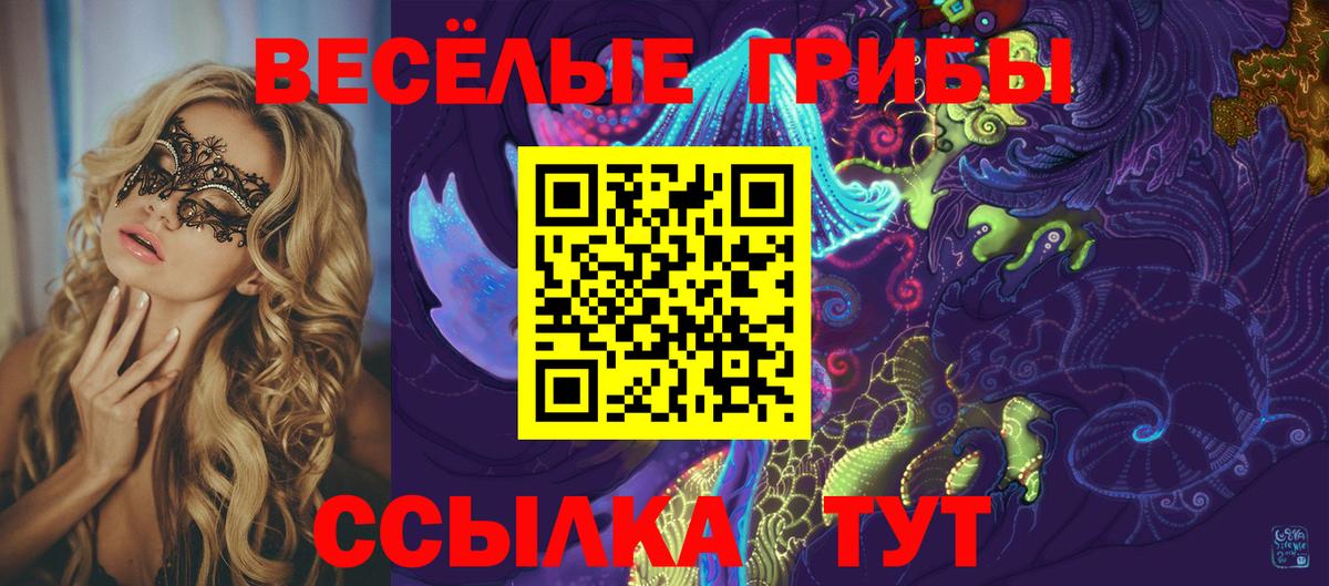 Галлюциногенные грибы Cubensis Чита