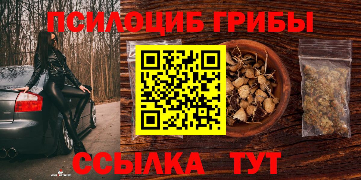 как найти   Вход с VPN  Псилоцибиновые грибы Psilocybine cubensis  Чита  Галлюциногенные грибы Cubensis 
